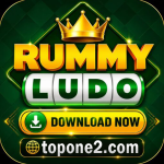 RUMMY LUDO ONLINE EARNING POTENTIAL icon